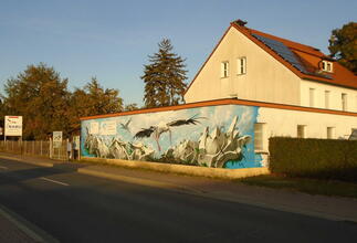 Origineller Graffiti-Weißstorch am Gebäude des NABU. 